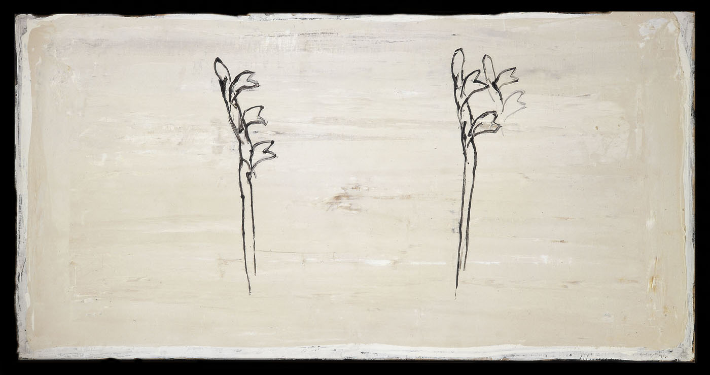 Dos flores sobre blanco