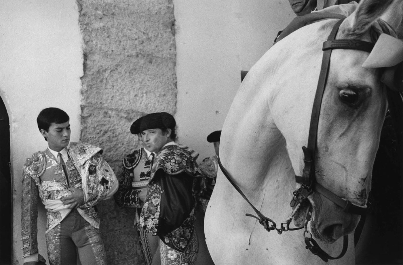 Toros en Ronda