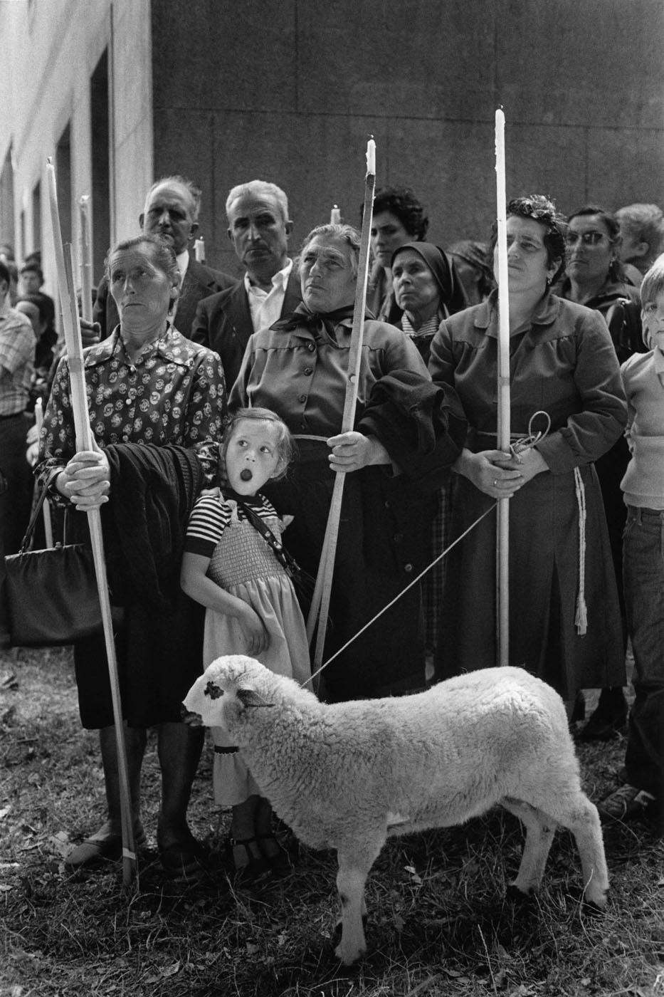 El ofertorio. Amil
