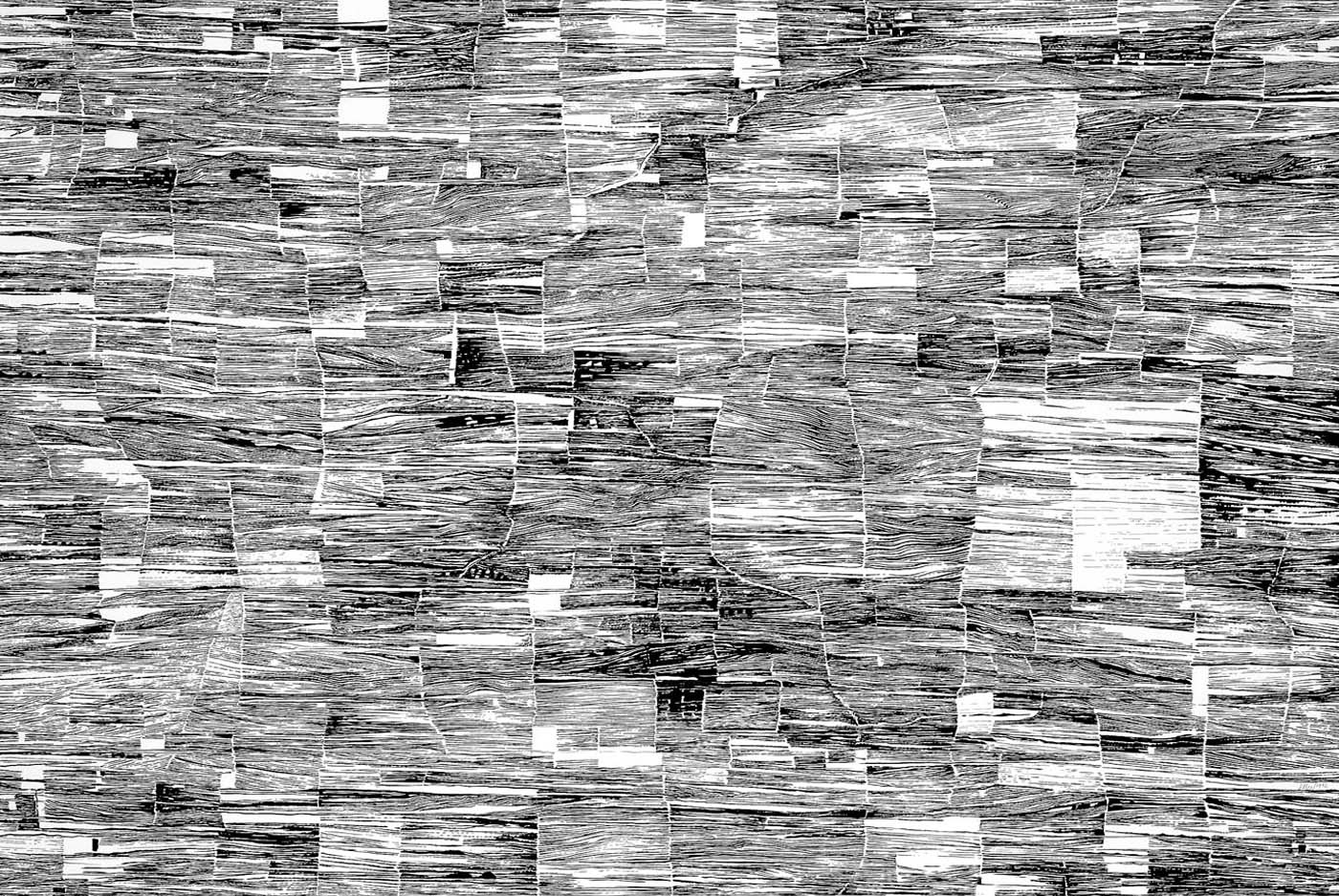 Dibujo de la serie <i>Territorios</i>  II de IV