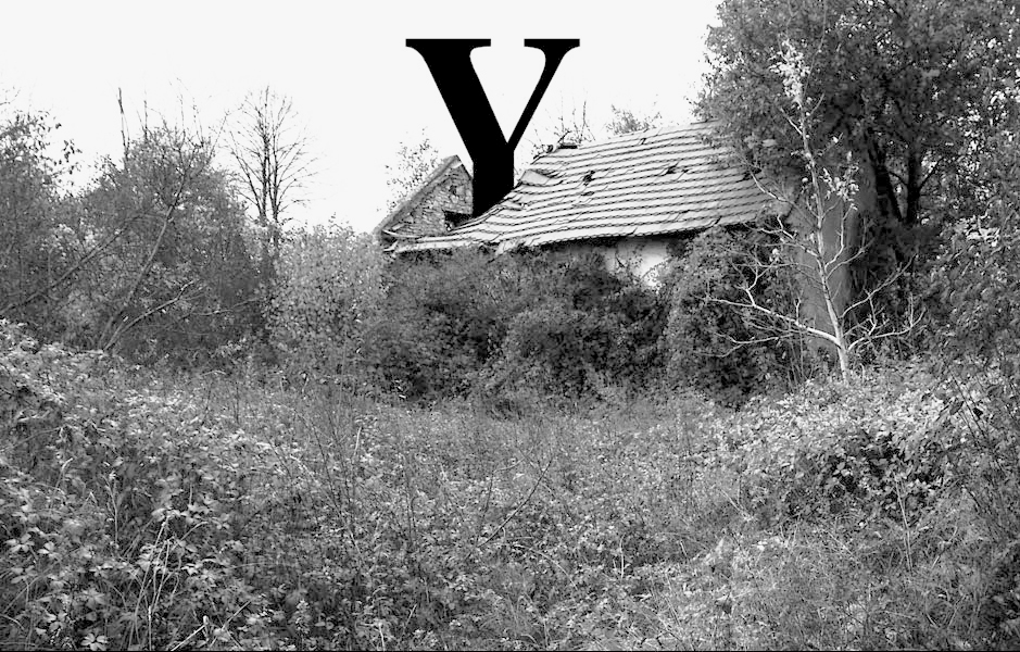 Y
