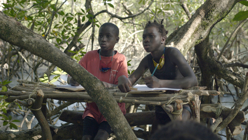 Lectura del manglar